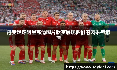 丹麦足球明星高清图片欣赏展现他们的风采与激情